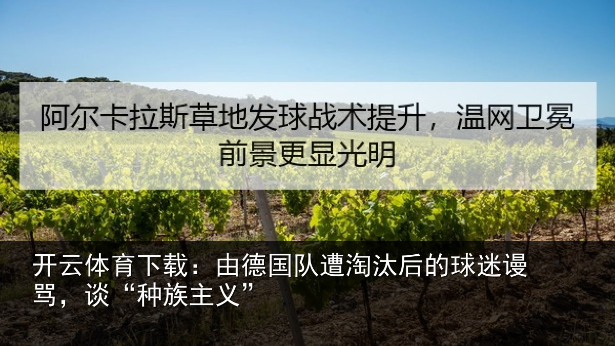 开云体育下载:由德国队遭淘汰后的球迷谩骂,谈“种族主义”