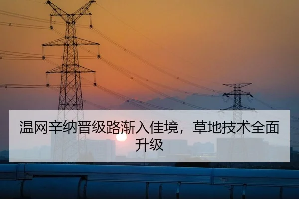 温网辛纳晋级路渐入佳境，草地技术全面升级